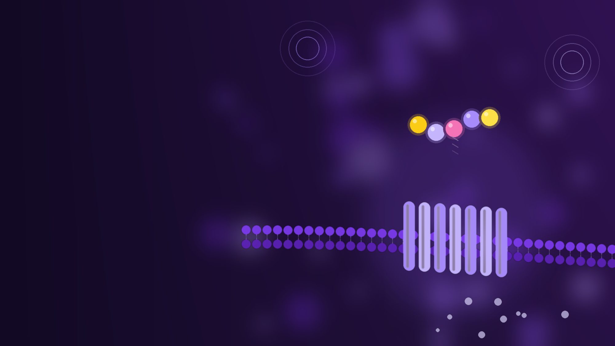 Illustration violette d'une chaîne de cinq perles qui s'arrime à un récepteur dans une membrane cellulaire